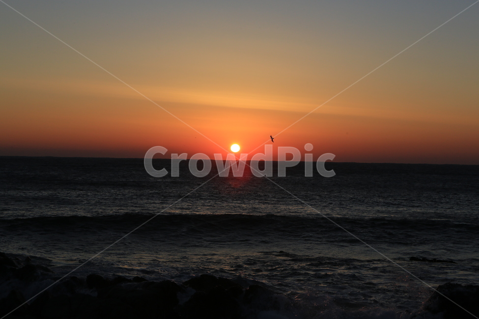 해돋이,일출,새해,바다,하늘,동해일출,풍경,자연,풍경,nature,landscape,outdoors,옥외,sunlight,햇빛,sunset,일몰,red sky,붉은 하늘,sky,dusk,황혼,dawn,새벽