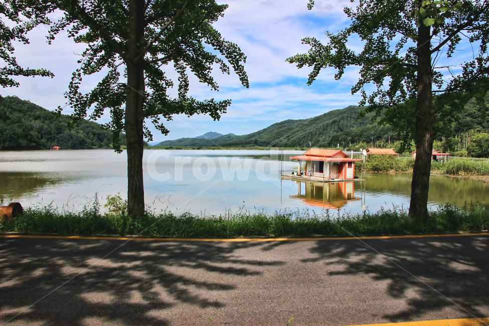 호수,그림자,나무,감성사진,감성,낚시,낚시터,자연,풍경,nature,landscape,outdoors,옥외,water,물