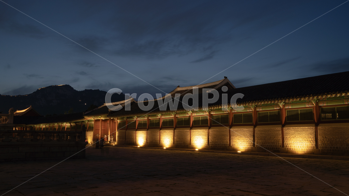 경복궁야경,경복궁,한옥,경복궁야간개장,조선시대,야경,우리나라야경,한옥야경,야경,밤,풍경,nightscape,night,landscape,한국전통,한국문화,korean traditional,korean culture,건축물,건물외관,exterior,building,structure,architecture,construction,건물,shrine,신사,worship,예배