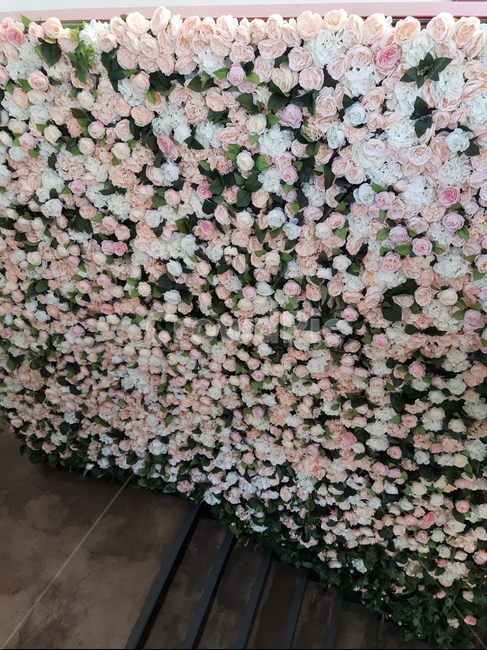 flower,꽃,blossom,geranium,식물,plant,꽃잎,장미,미니장미,인테리어