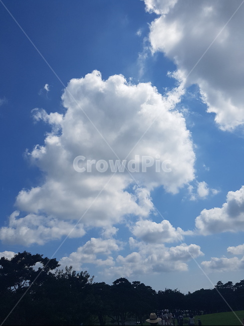 구름,하늘,나무,파란,뭉게,희망,자연,풍경,nature,landscape,azure sky,푸른 하늘,sky,outdoors,옥외