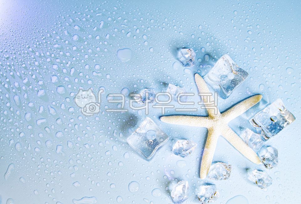 water drop,background,coolness,copy space,ice,sea creatures,starfish,summer,White space,marine life