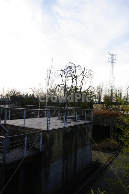겨울,나무,공원,식물,plant,건축물,건물외관,exterior,building,structure,architecture,construction