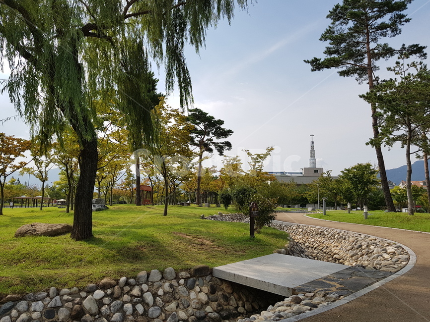 자연,푸른하늘,sky,outdoors,하늘,옥외,가을하늘,tree,나무,plant,식물,자갈,냇가,자연,풍경,nature,landscape