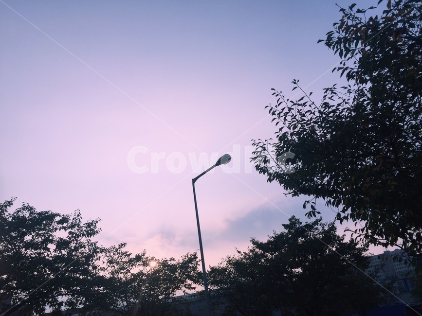 자연,감성사진,산책,풍경,가로등