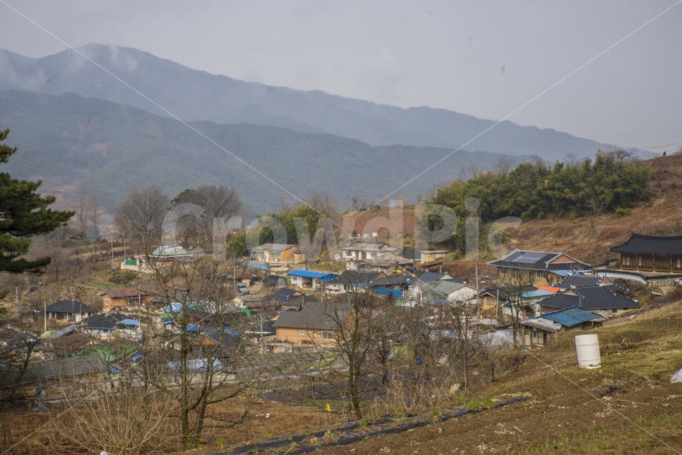 시골,시골풍경,시골집,기와집,고향,마을,매동마을,자연,풍경,nature,landscape,시골,마을,country,rural,town,building,건물,농촌,outdoors,옥외
