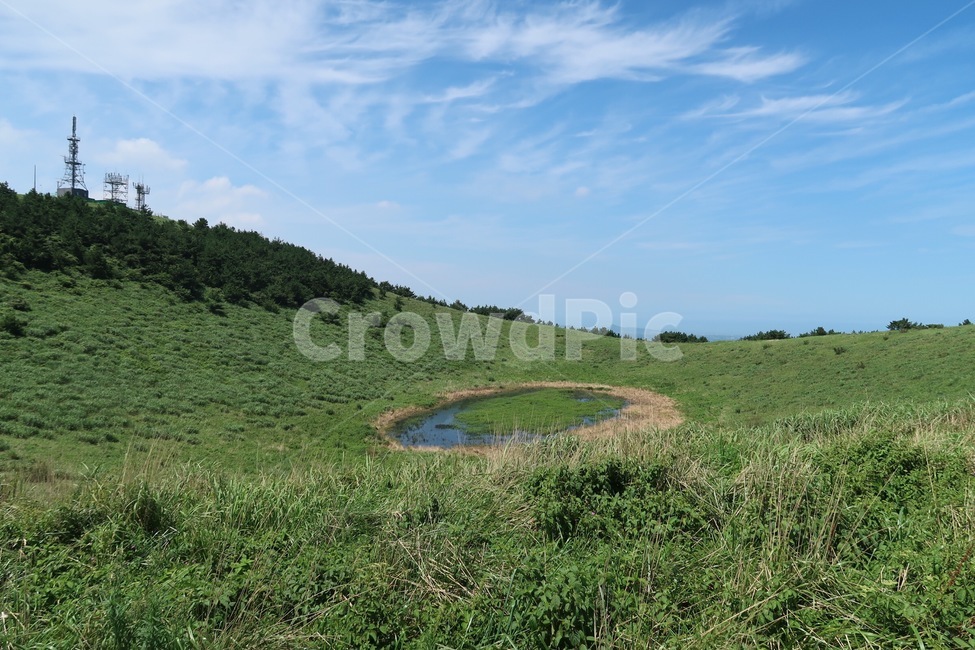 금오름,자연,오름,제주도,잔디