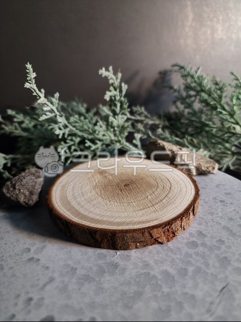 나무코스터,나무,나무질감,자연,우드