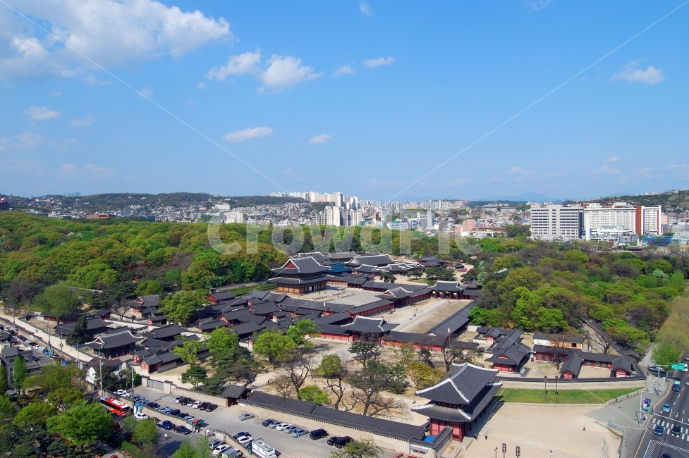 창덕궁,세계문화유산,사적,문화유산,고궁,궁궐,궁,문화재,풍경,돈화문,인정전,숲,하이앵글,명소,관광지,서울,한국,전통,한국전통,건축,건축물,고건축,전통건축,한옥,전경,역사,도시,풍경,city,landscape,한국도시풍경,한국도시경관,korea cityscape,한국전통,한국문화,korean traditional,korean culture,랜드마크,landmark,tourist attraction,한국랜드마크,한국관광지,한국명소,korea landmark,korea tourist attraction,nature,자연,경치,outdoors,옥외,scenery