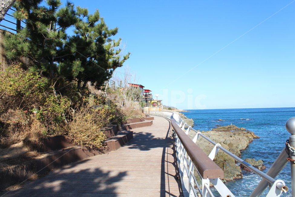 바다,동해,해안가,해안,블루오션,자연,풍경,nature,landscape,railing,난간,handrail,banister