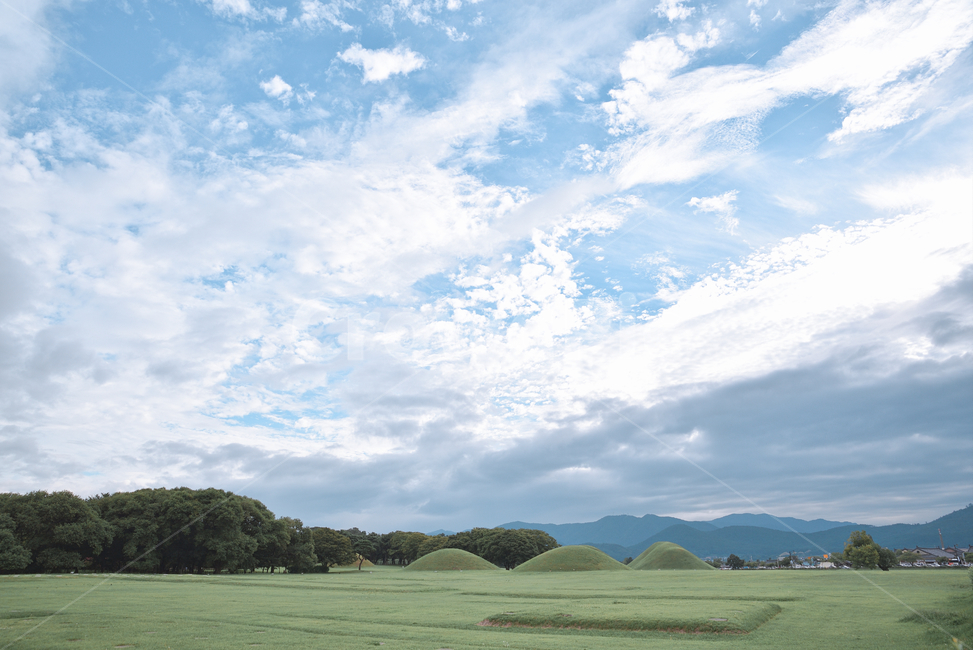 경주,왕릉,자연,꽃,하늘,봄,가을,맑음,산책,자연,풍경,nature,landscape,한국자연풍경,한국자연경관,korea nature landscape,한국전통,한국문화,korean traditional,korean culture,랜드마크,landmark,tourist attraction,한국랜드마크,한국관광지,한국명소,korea landmark,korea tourist attraction,outdoors,옥외,field,들,grassland,목초지,plant,식물,grass,잔디