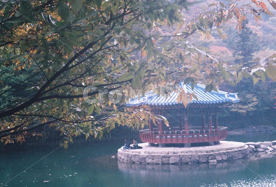 내장산,단풍,가을,호수,풍경,가을,계절,fall,autumn,season,자연,풍경,nature,landscape,한국자연풍경,한국자연경관,korea nature landscape,한국전통,한국문화,korean traditional,korean culture