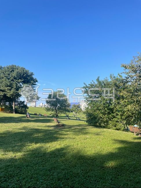 Olympic Park,blue sky,Bench,sunshine,nature,tree,peaceful,grassland,olympicpark,sunlight,outdoors,grass,park