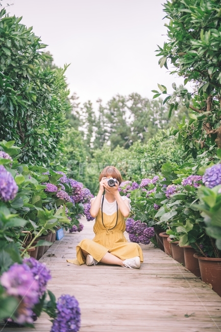 수국,여성,인물,앞모습,여자,카메라,hydrangea,여름꽃,제주,제주도,원피스,camera,jeju,dress,lady,woman,human,여름,계절,summer,season,사람,인물,인간,human,person,여성,여자,woman,female,lady,여행,휴가,traveling,vacation,trip,사진작가,포토그래퍼,photographer,감성,sensible,feeling,garden,정원,outdoors,옥외