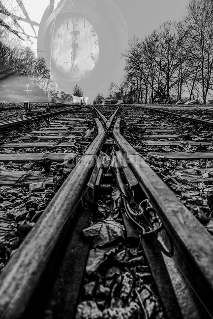 선택,여행,기차,두가지,옛날,흑백,모노톤,monochrome,black and white,교통,교통수단,traffic,transportation