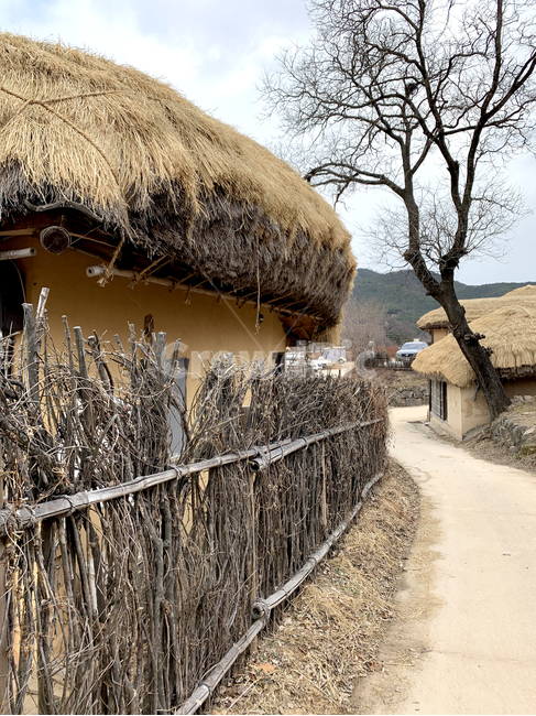한국,전통,한옥,안동,하회마을,초가집,korea,tradition,koreanhouse,풍경,scenery,thatchedhouse,오두막,hut,한국전통,한국문화,korean traditional,korean culture