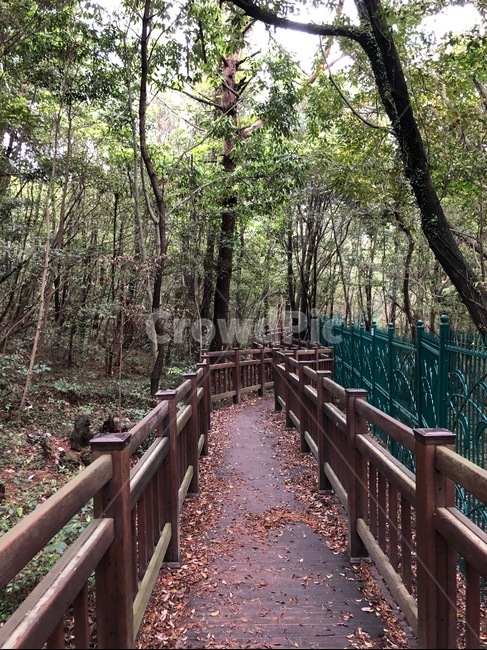 산책길,숲길,숲속,숲,폭포길,원앙폭포
