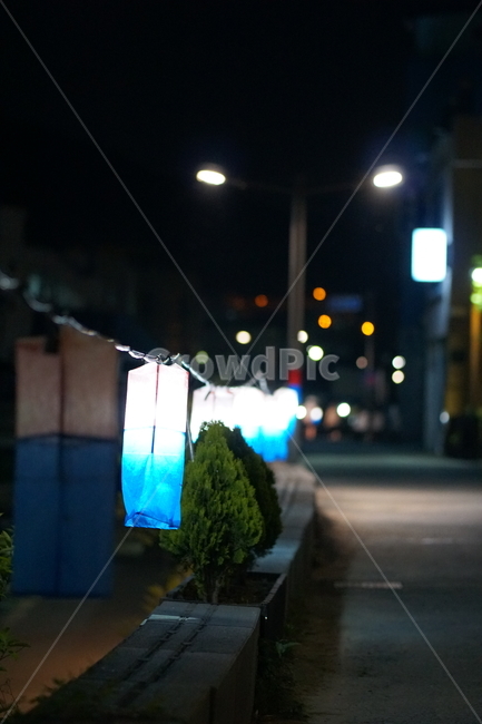하숙,하숙마을,공주시,야경,가는길,등,연등,밤길,밤,집가는길,퇴근길,밤야경,일상