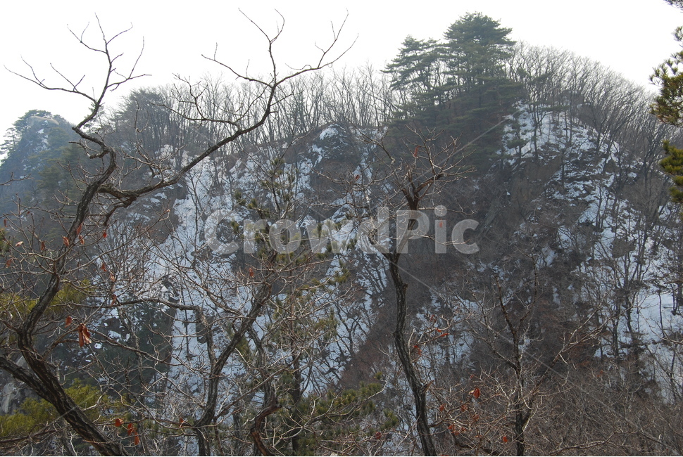 눈,snow,tree,winter,겨울,겨울,계절,winter,season,자연,풍경,nature,landscape,나무,plant,식물,outdoors,옥외