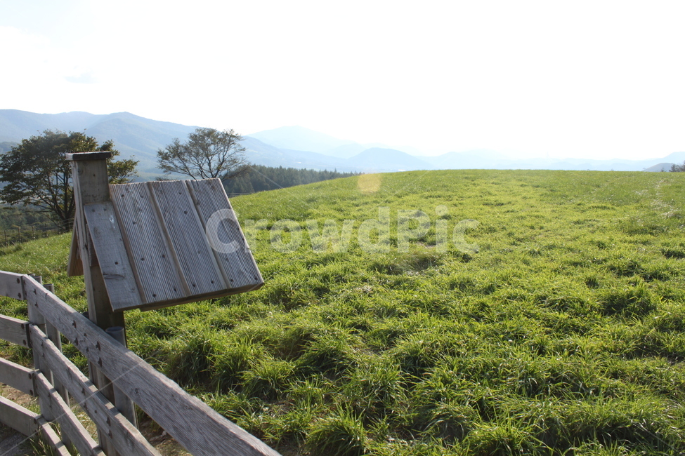 잔디,목장,들판,산,하늘,나무,풀,휴식,힐링,rest,relaxation,healing