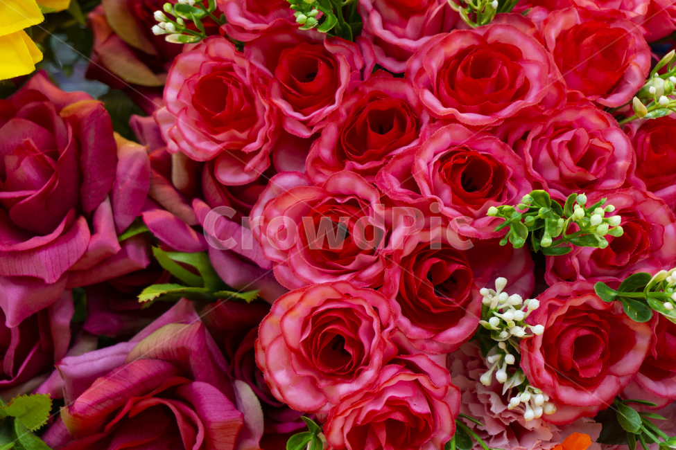 flowerarrangement,꽃꽂이,blossom,flower,꽃,plant,flowerbouquet,꽃부케,장미,꽃,flower