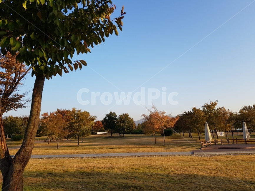들,식물,가을,plant,잔디,가을,계절,fall,autumn,season,field,grass