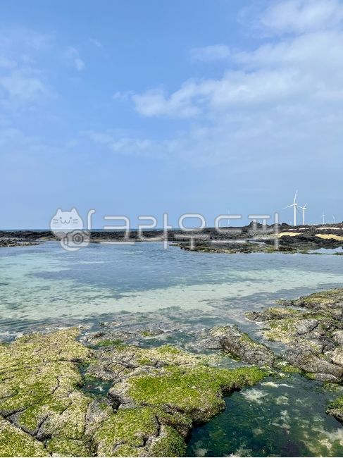sea stone,Udo Island,Mongdol Beach,jeju island,Jeju sea