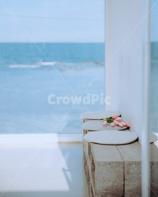 튤립,바다,오션뷰,감성,ocean,wood,hardwood,furniture,가구,견목,나무,plywood,flooring,tabletop,테이블탑,바닥,합판,인테리어,실내디자인,interior design