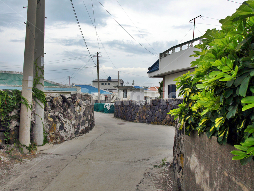 금능,마을,제주,올레14코스,올레길,민가,도로,제주도,jeju,jeju island,시골,마을,풍경,landscape,country,rural,town