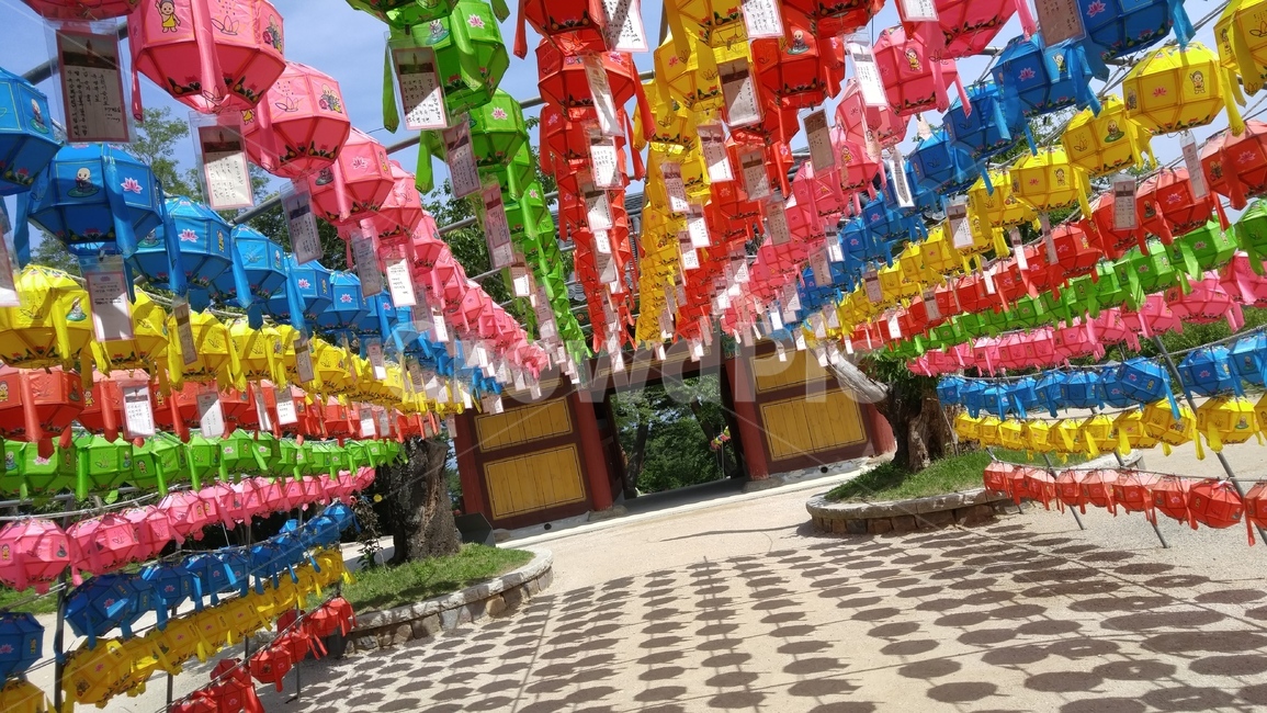 낙산사,불교,부처님,절,부처님오신날,등불