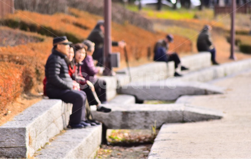 노인,노인네,외로움,고독,쓸쓸함,소외,장년,노년,silver,노인문제,고령화사회,공원,파크,야외,옥외,outdoor,초고령사회,배경,바탕,백그라운드,사회문제,실버세대,무료함,사람,인물,인간,human,person,노인,어르신,old man, senior citizen