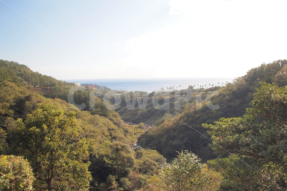 제주,서귀포,바다,숲,배경,자연,풍경,nature,landscape,한국자연풍경,한국자연경관,korea nature landscape,제주도,jeju,jeju island,outdoors,옥외