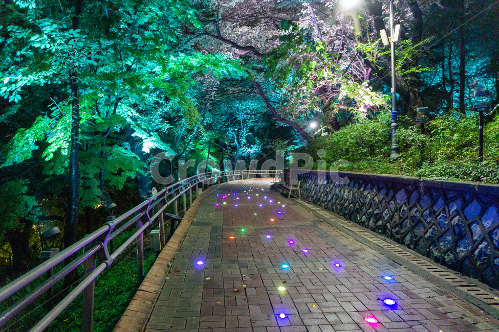 자유공원,인천,야경,산책로,숲길,나무,led,공원,자연,수풀,오솔길,산길,숲,밤,night,가로등,산책,park,길,통행로,거리,보행로,보도,path,way,walkway,포장,pavement,sidewalk