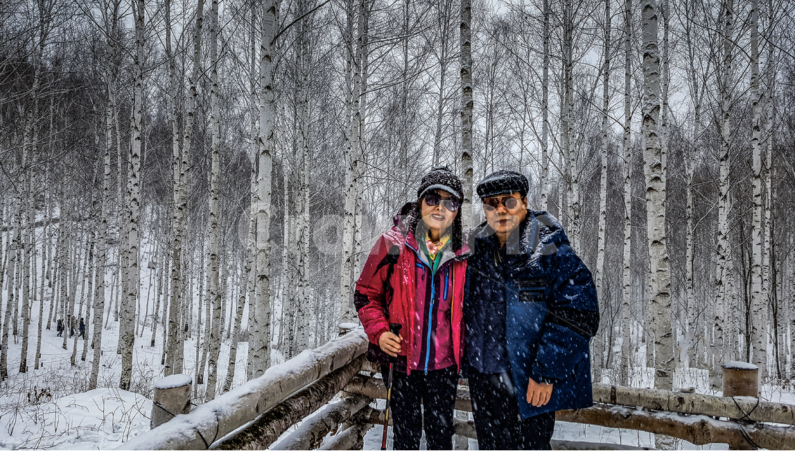 자작나무,눈,겨울산행,둘레길,눈길,겨울,계절,winter,season,사람,인물,인간,human,person,연인,커플,사랑,lover,couple