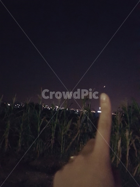 달,야경,가을,초승달,하늘,풍경,자연,자연,풍경,nature,landscape,야경,밤,nightscape,night,사람,인물,인간,human,person,신체일부,몸,body,outdoors,옥외