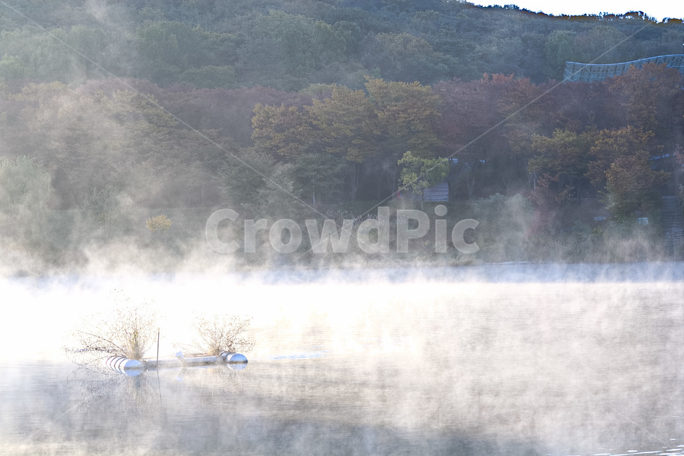 물안개,안개,가을,단풍,풍경,자연,호수,산,자연,풍경,nature,landscape