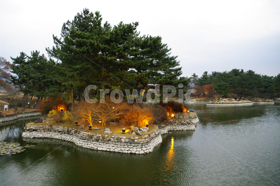 안압지,연못,경주,traditional,전통,나무,식물,plant,야경,밤,풍경,nightscape,night,landscape,랜드마크,landmark,tourist attraction,한국랜드마크,한국관광지,한국명소,korea landmark,korea tourist attraction