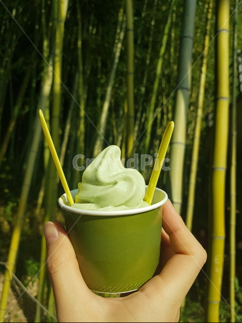 아이스크림,bambu,대나무,녹차,자연,forest,디저트,간식,후식,dessert,snack