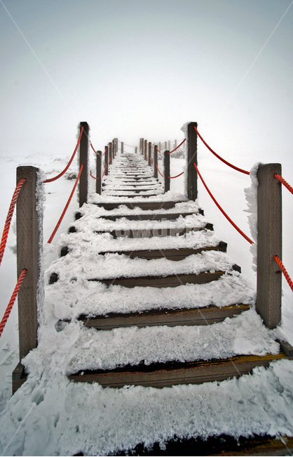 겨울산,한라산,설경,제주도,눈,한라산설경,탐방로,안개,운무,겨울,계절,winter,season