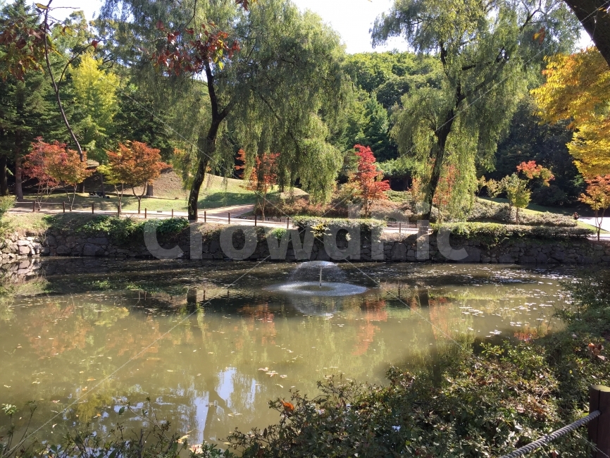 자연,야외,소풍,숲,나무,환경,풍경,분수,호수,인공호수,자연경관,단풍,가을,계절,fall,autumn,season,자연,풍경,nature,landscape,한국자연풍경,한국자연경관,korea nature landscape,outdoors,옥외,land,땅,water,물