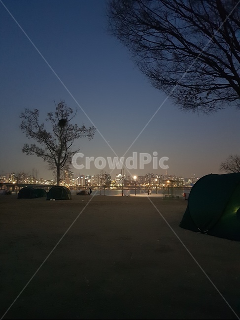 한강,한강뷰,노을,밤하늘,해질녘,나무,야경,한강야경,저녁,어둠,여유,휴가,힐링,감성
