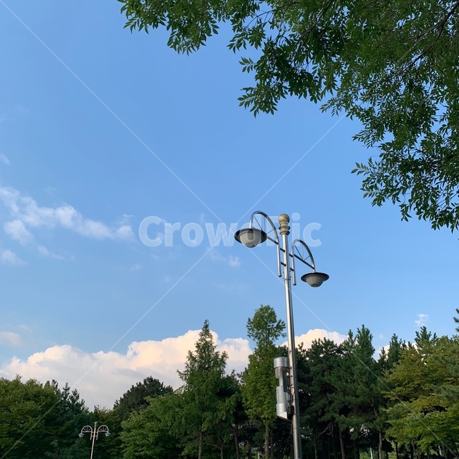 하늘,구름,공원,나무,산책,sky,cloud,park,tree,weather,날씨,nature,자연,outdoors,옥외