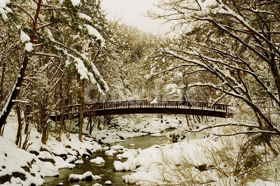 눈오는날,눈풍경,겨울풍경,대관령,필름사진,필름카메라,filmcamera,filmphotography,snow,winter