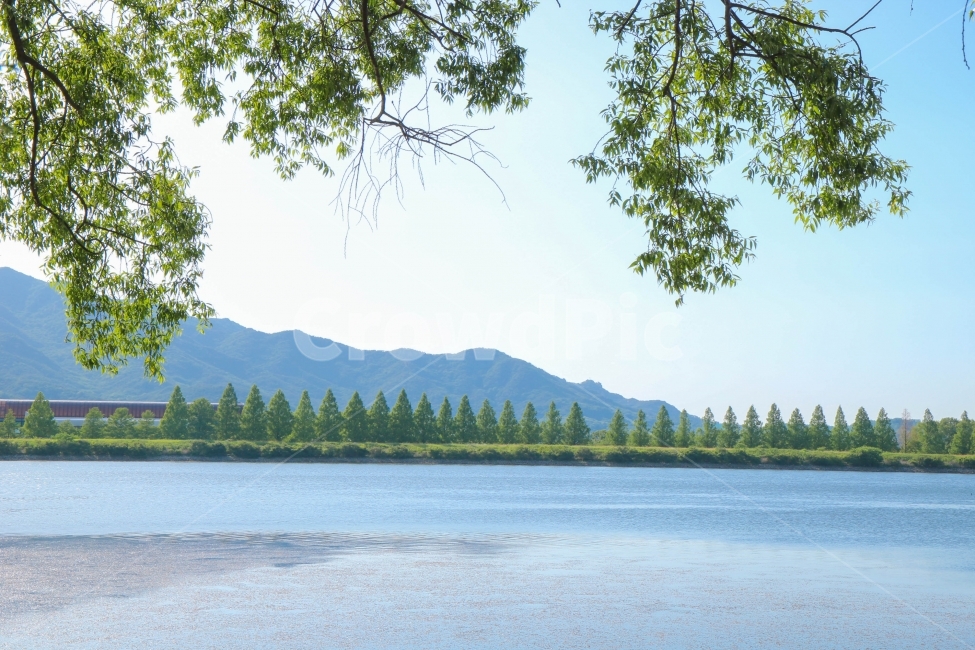 호수,풍경사진,여름,눈이시원해지는사진,나무,자연,풍경,nature,landscape,tree,plant,식물,water,물,outdoors,옥외