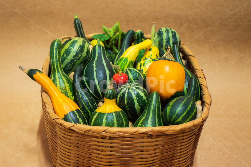 호박,색동호박,ornamentalgourd,pumpkin,vegetable,squash,채소,음식,가을,식물,수확,관상용호박,관상호박,화초호박,페포호박,쿠쿠르비타페포,페포,꽃호박,박,관상용,미니호박,애호박,미니,풍요,풍성,수확물,농업,농사,열매,야채,배경,바탕,백그라운드,바구니,바스켓,그린,초록,초록색,자연,장식용,장식,데코,데코레이션,여름,싱싱한,신선한,건강,건강한,어린,작은,더미,무더기,할로윈,노랑,노란,노란색,주황색,주황,fancygourd,cucurbitapepo,food,autumn,gourd,pumpkins,fall,harvest,basket,vegetables,green,agriculture,agricultural,natural,nature,ornamental,decorate,decoration,decorative,deco,decor,colorful,summer,foods,fresh,fruit,health,healthy,plant,young,mini,raw,farming,halloween,yellow,orange,pile,heap,background,채소,야채,vegetables,연출,컨셉,콘셉,direction,concept