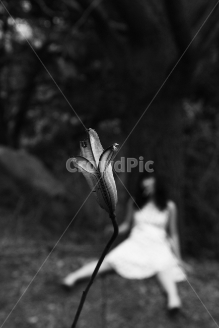 심리,여성,힘듦,감성사진,지침,식물,자연,plants,nature,꽃,flower,사람,인물,인간,human,person,여성,여자,woman,female,lady,고독함,외로움,쓸쓸함,우울함,슬픔,lonely,solitary,흑백,모노톤,monochrome,black and white