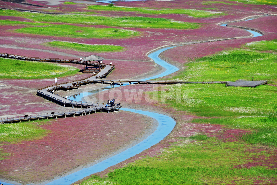 전남,신안,증도,증도물길,태평염전,태평염전봄,태평염전물길,scenery,풍경,outdoors,옥외,nature,자연,landscape,경치,자연,풍경,nature,landscape,한국자연풍경,한국자연경관,korea nature landscape