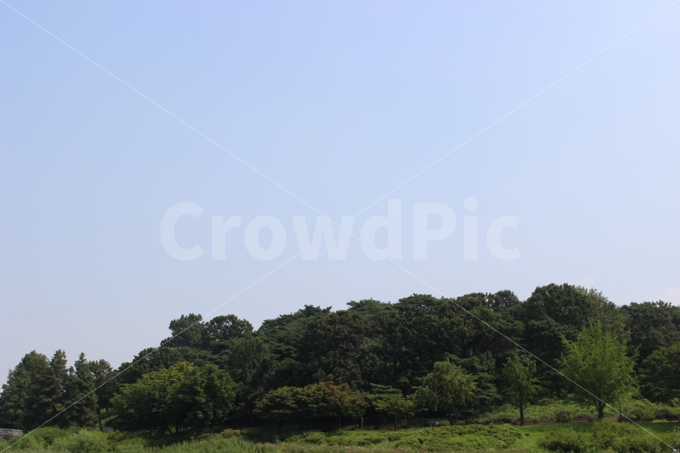 하늘,나무,자연,야외,공원,정원,풍경,자연,풍경,nature,landscape,outdoors,옥외