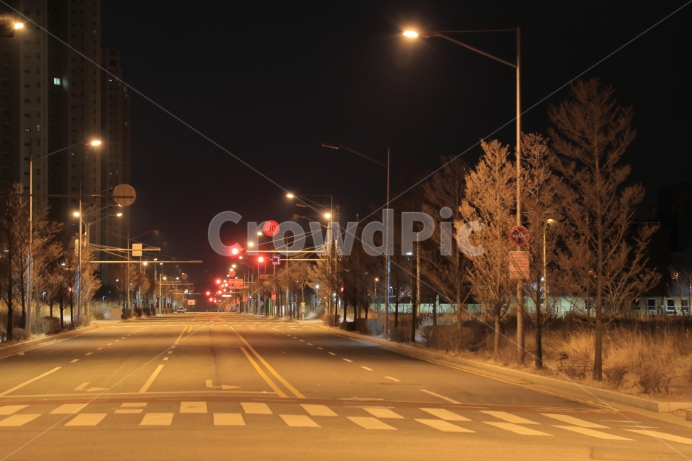 교통,신호등,횡단보도,빨간불,새벽,한적한,가로등,야경,도시,야경,밤,풍경,nightscape,night,landscape,도시,city,한국도시풍경,한국도시경관,korea cityscape,교통,교통수단,traffic,transportation,asphalt,아스팔트,road,도로