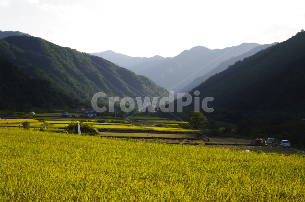 산,논,풍경,시골,농촌,시골,마을,풍경,landscape,country,rural,town